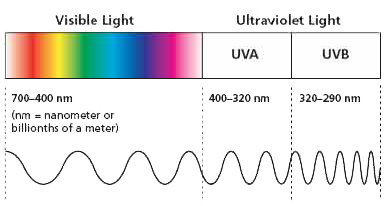visiblelightuvdiagram